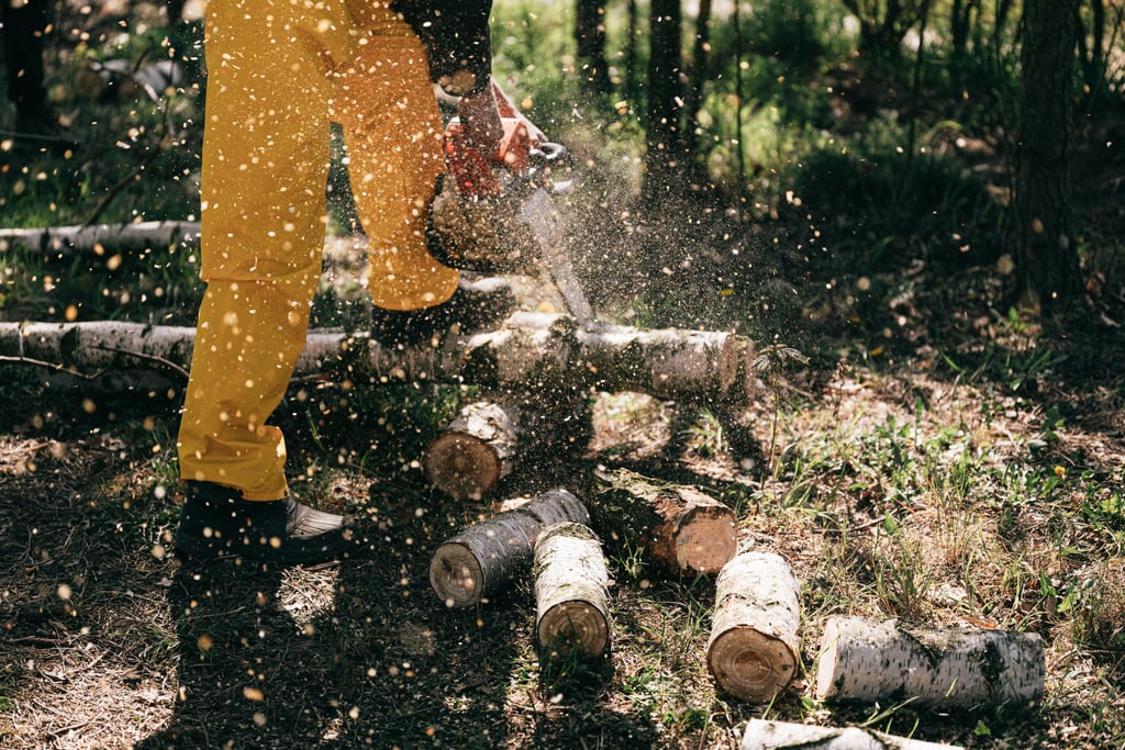 tree trimming and log cutting with a chainsaw