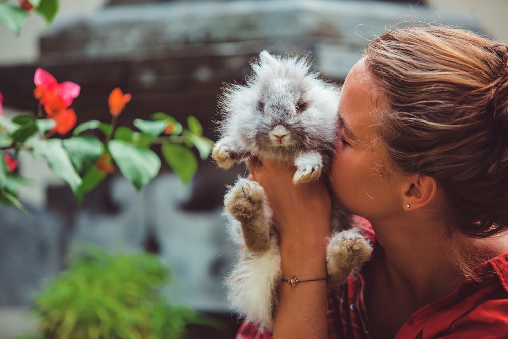 a woman holding a kitten kitten kitten kitten kitten kitten kitten kitten kitten kitten kitten kitten