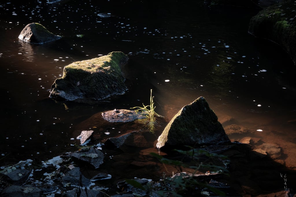 a small stream of water with rocks and grass