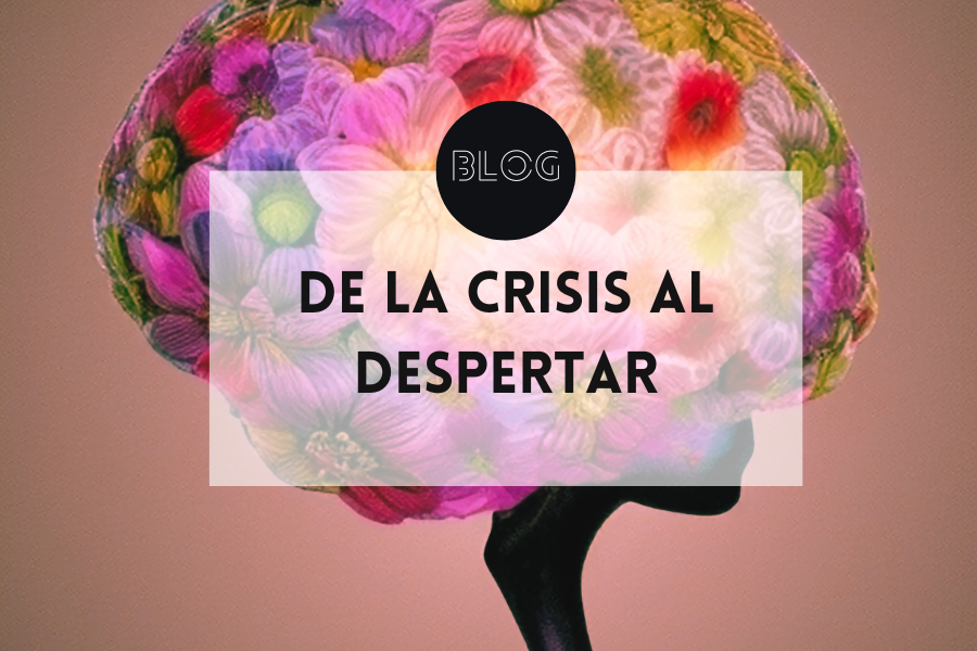 De la crisis al despertar: lo que aprendí tocando fondo