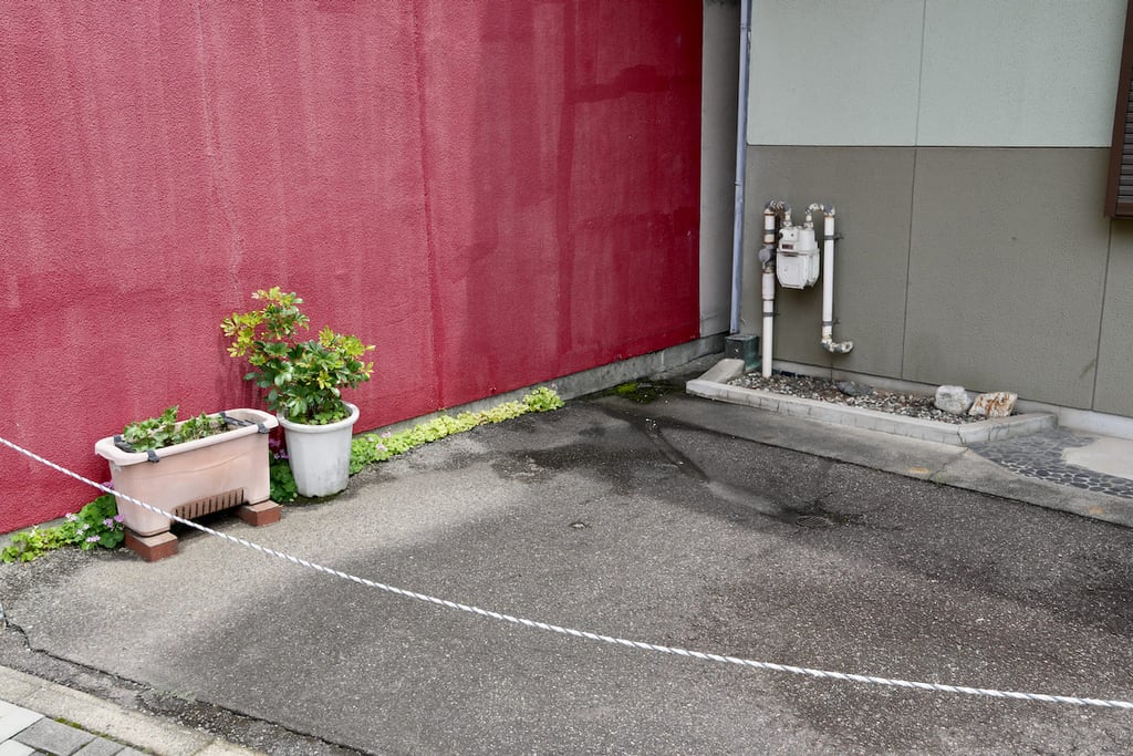 garden in Japan jardin au japon