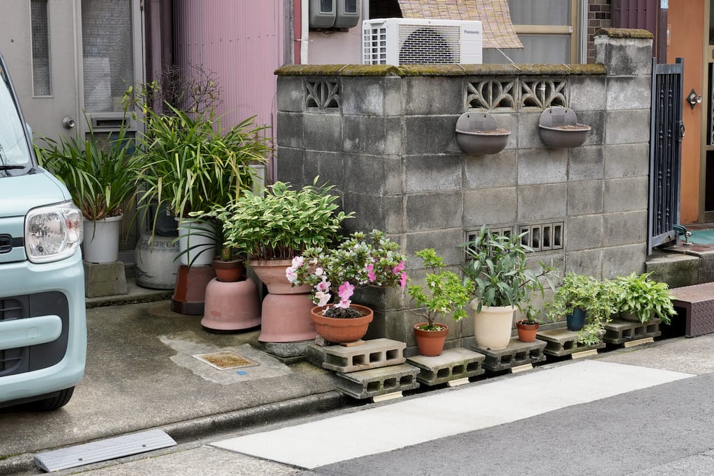 garden in Japan jardin au japon