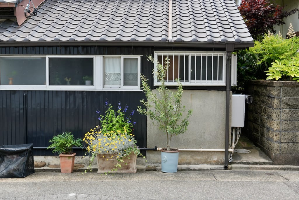 garden in Japan jardin au japon