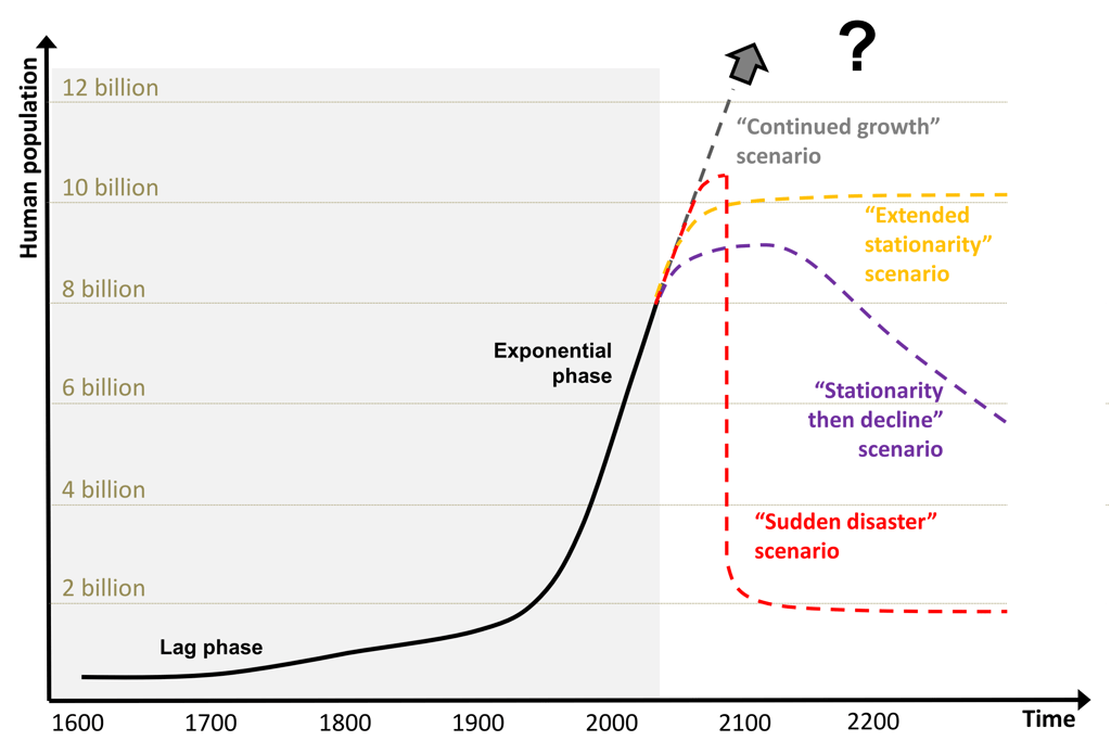 Global human population since 1600 and wet-finger projections