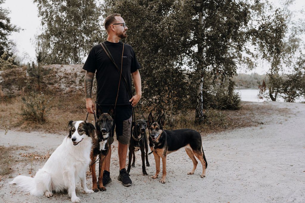 Basti Matern Hundetrainer aus Merseburg mit seinen Hunden
