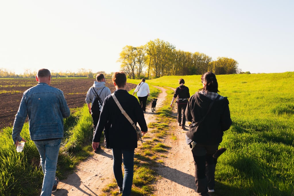 Geführter Gruppenspaziergang mit Hunden in Merseburg – Social Walk von Basti Matern Hundetraining.