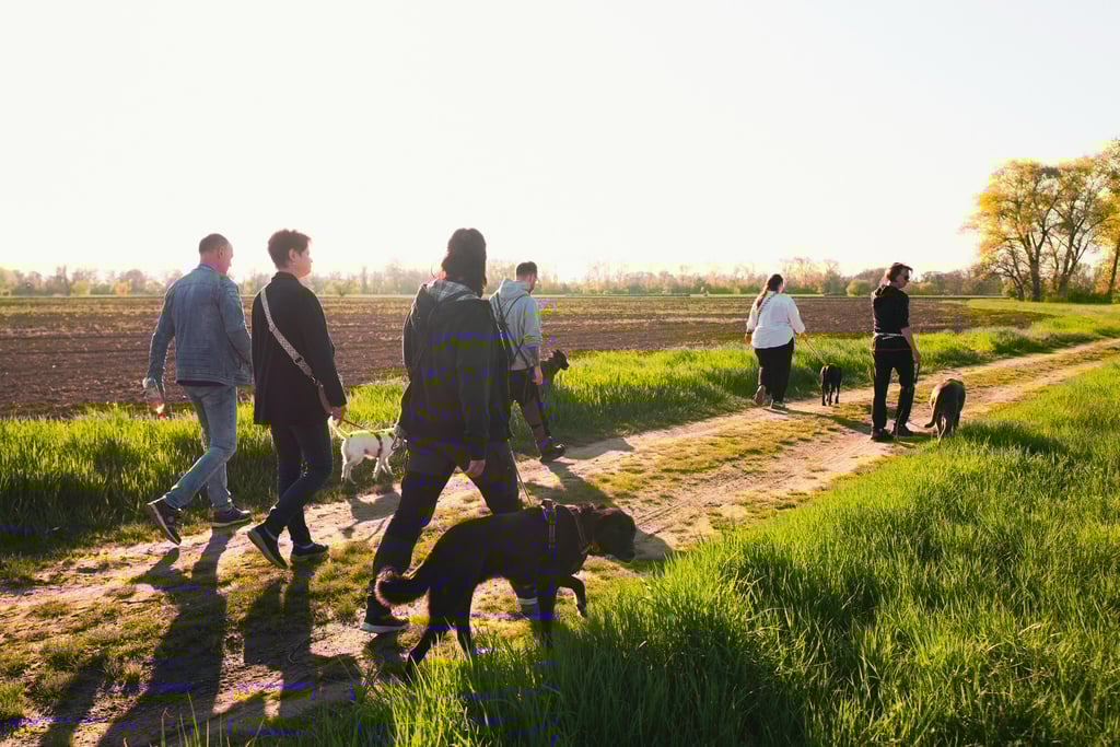 Hundetrainer Basti Matern begleitet Mensch-Hund-Teams beim entspannten Social Walk in Merseburg.