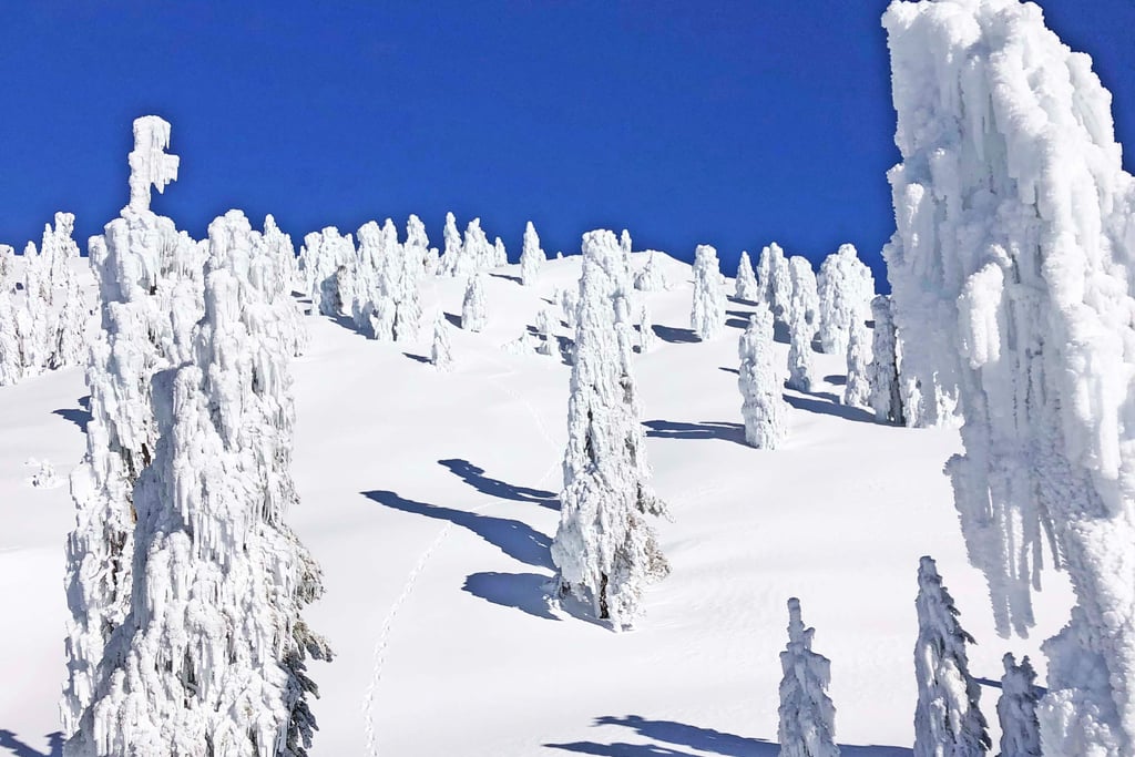 Icy Winter Conditions on the Baldy Bowl Trail | Mount San Antonio (Mount Baldy) | San Gabriel Mountains