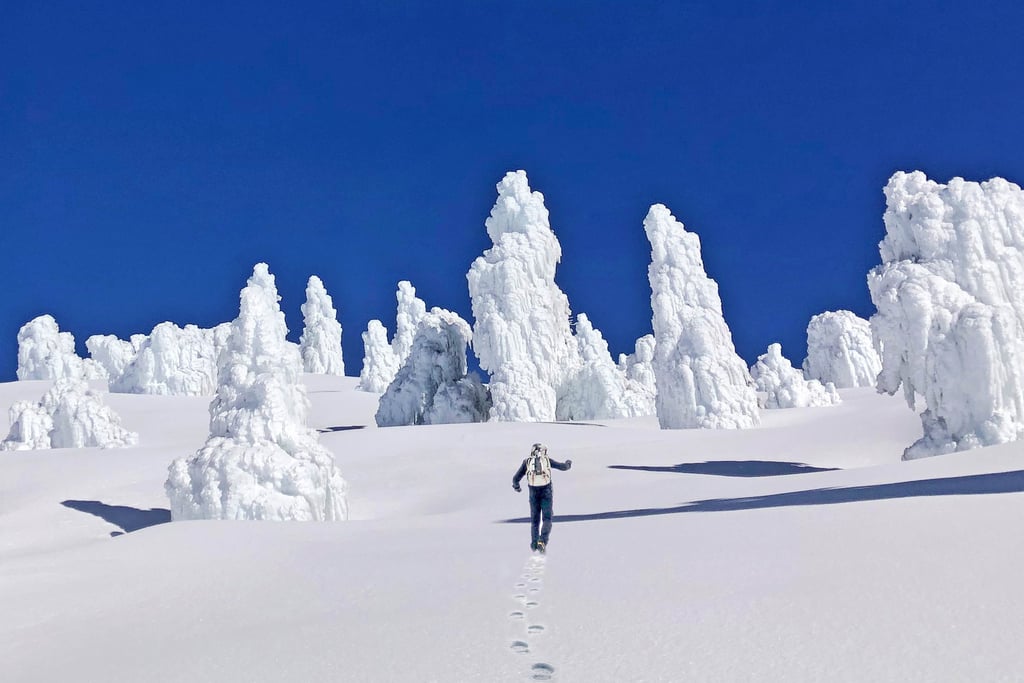 Walking the Baldy Bowl Trail Toward the Summit of Mount San Antonio (Mount Baldy) | San Gabriel Mountains