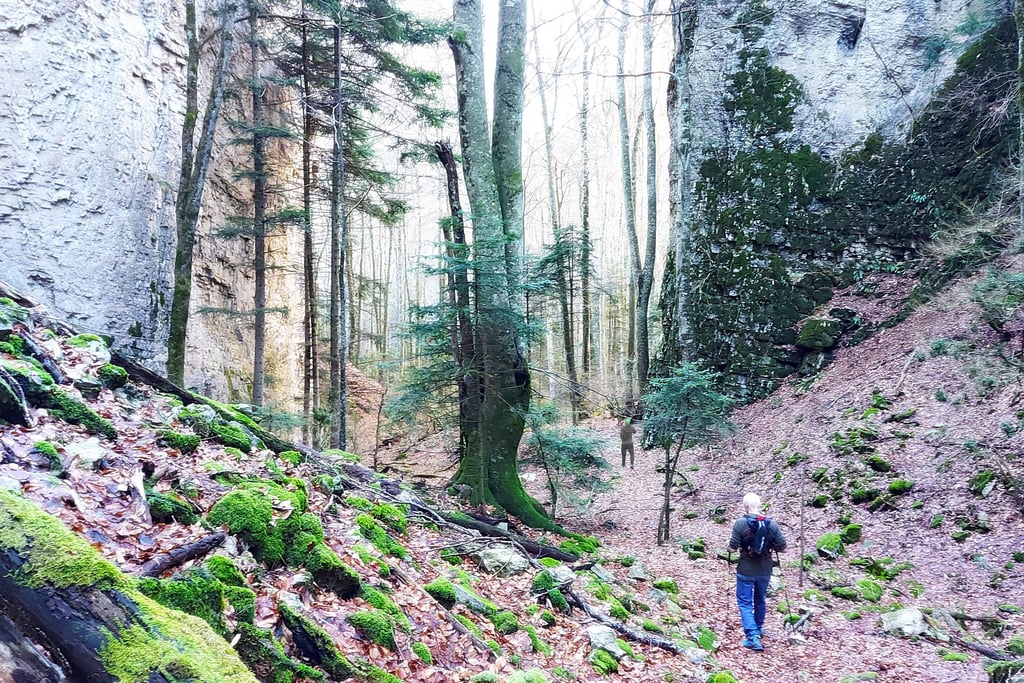 Walking in the Forêt de Saoû near Les Trois Becs, Drôme, France