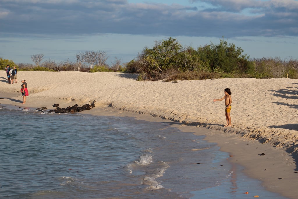 Curated tailor-made journey through the Galapagos Islands