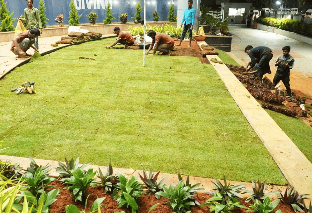 Certified Professionals from FM Landscaping installing lawn at IT Park