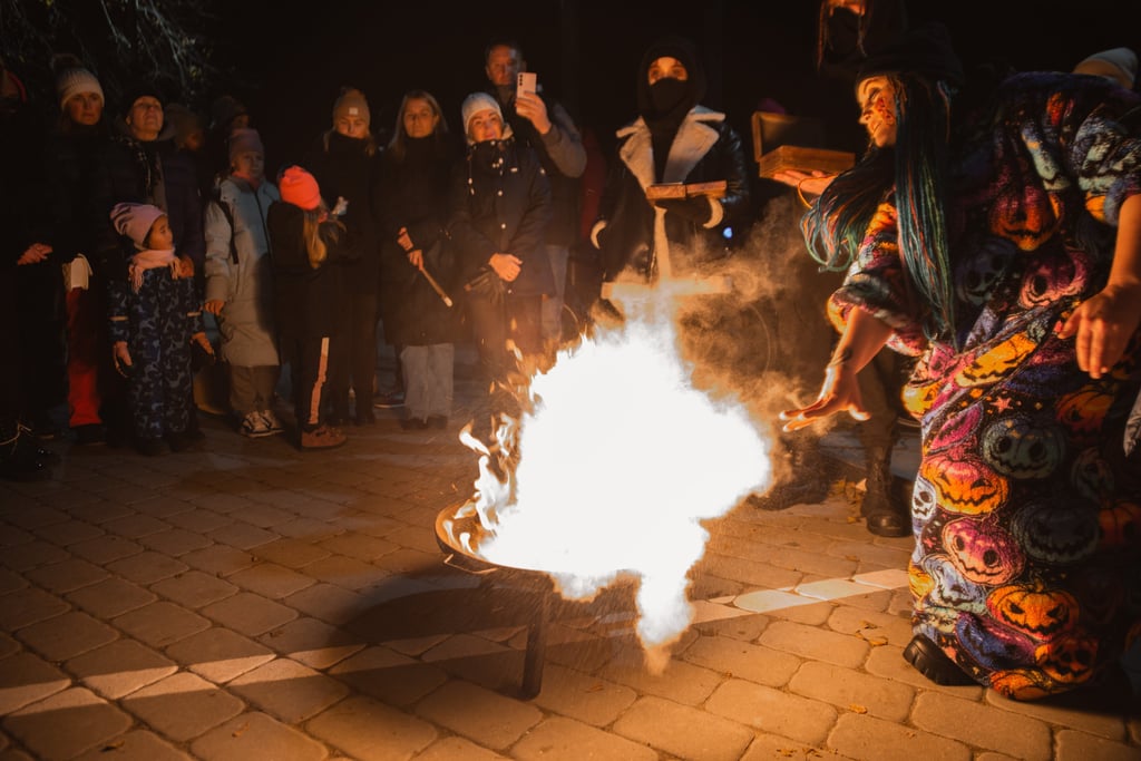 7jinn ugnies pasirodymai / ugnies šou vestuvėse / įmonių vakarėliuose ir miesto šventėse