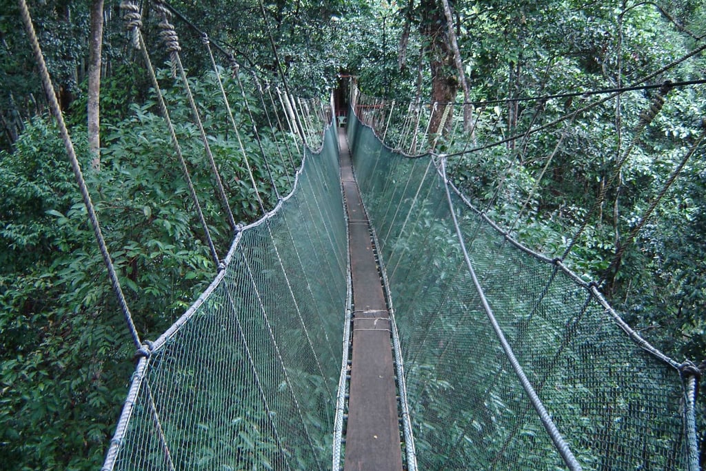 borneo poring hot springs canopy walk