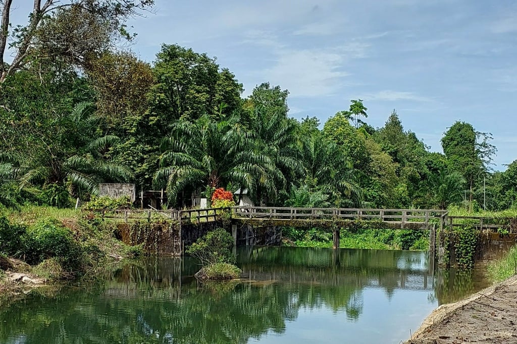 khao lak atv adventure lam ru river dam
