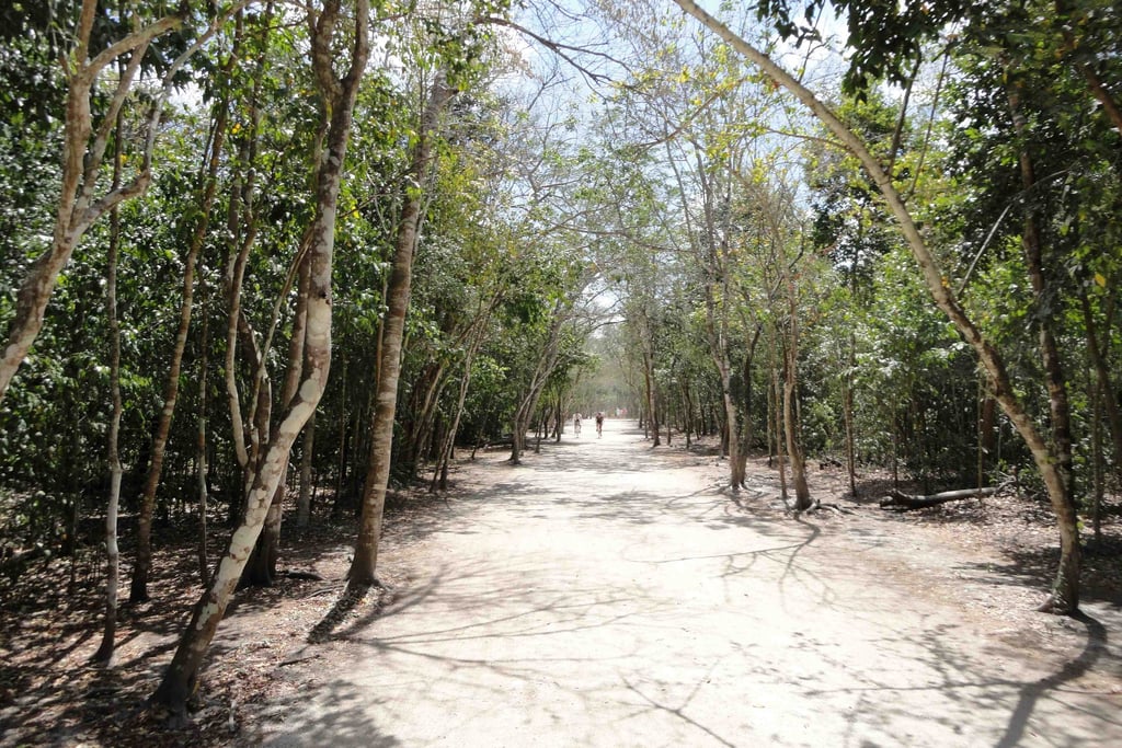 mexico coba mayan ruins sacbeob