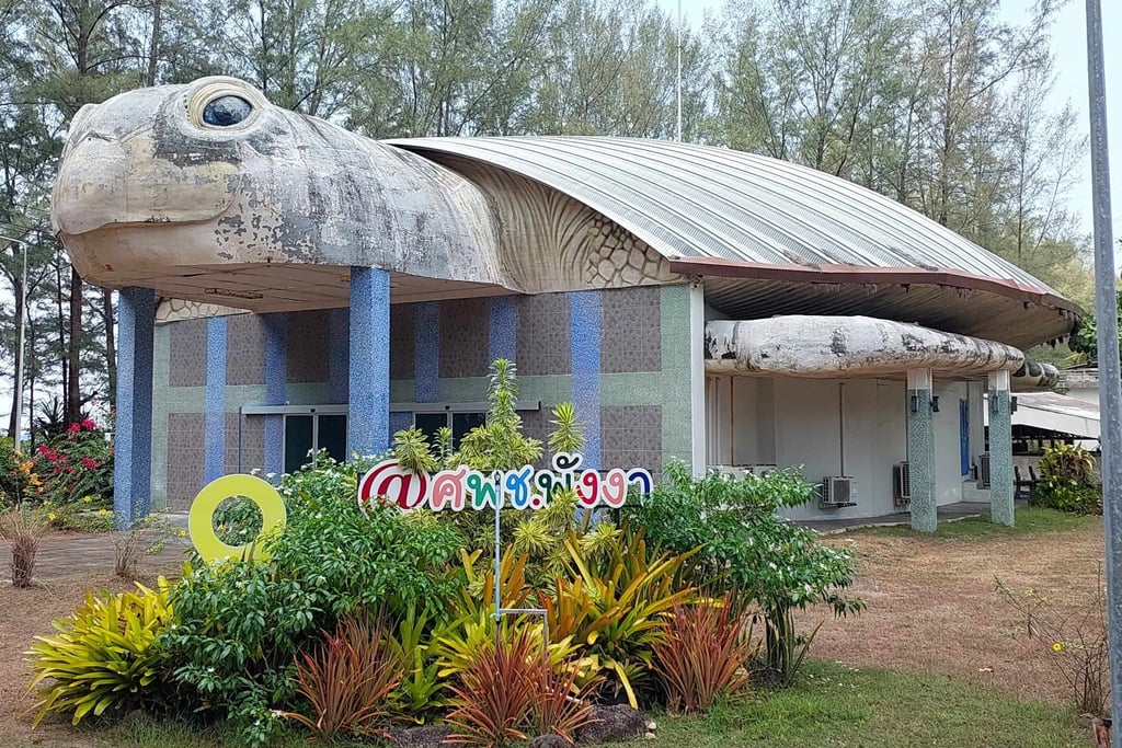 Phang Nga Coastal Fisheries Development Centre turtle