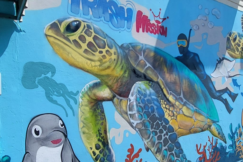 thai mueang street art turtle