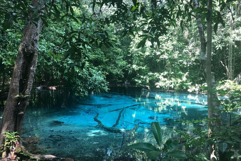thailand krabi emerald pool