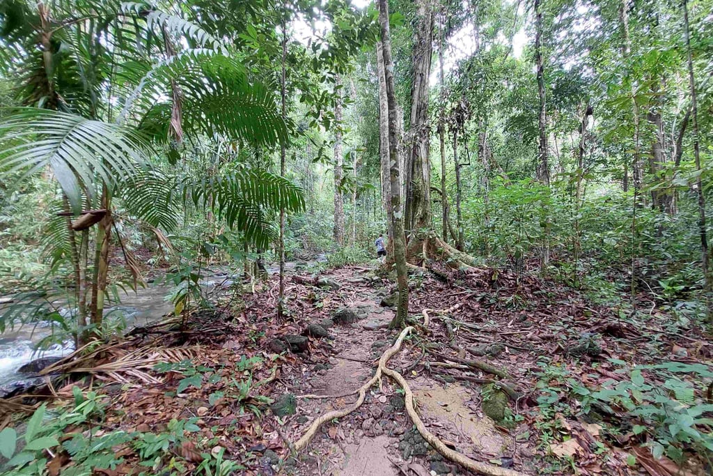 ton prai waterfall nature trail khao lak