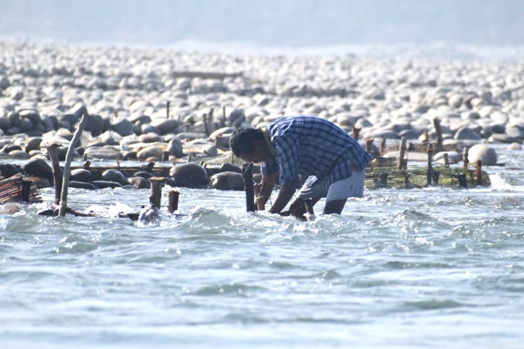 gold prospector near Mohana river