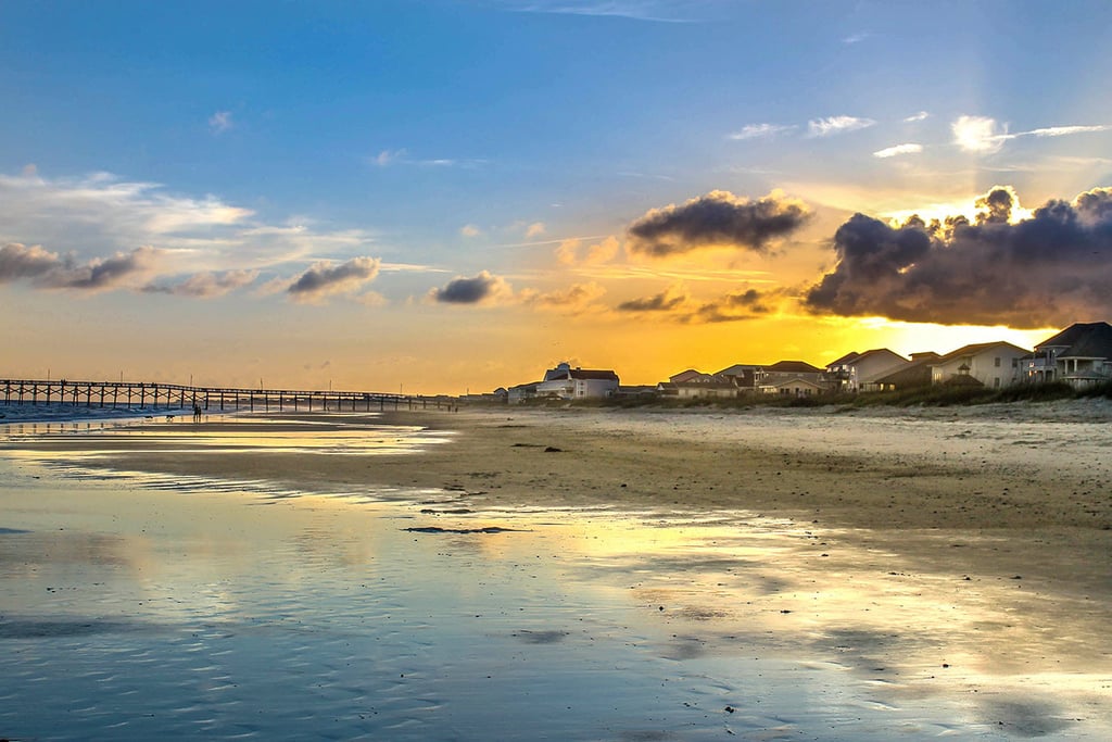 Sea Leaf book design provides eye-catching covers, readable inside page design, and book formatting