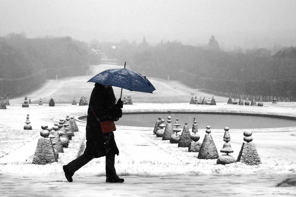 Sceaux hiver Jacrot Tempète