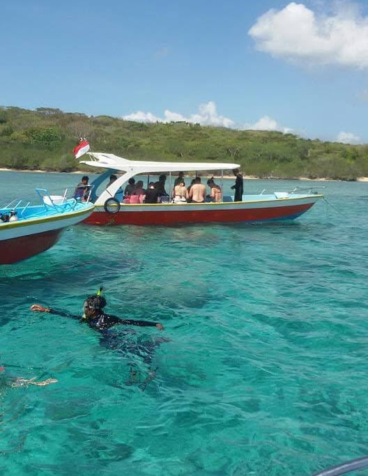 Family snorkeling at Lovina Reef in clear water with colorful fish around – Sunrise Dive Bali