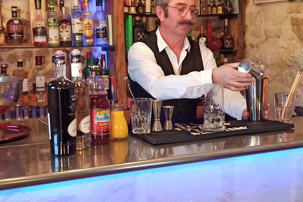 Je vous montre les gestes techniques