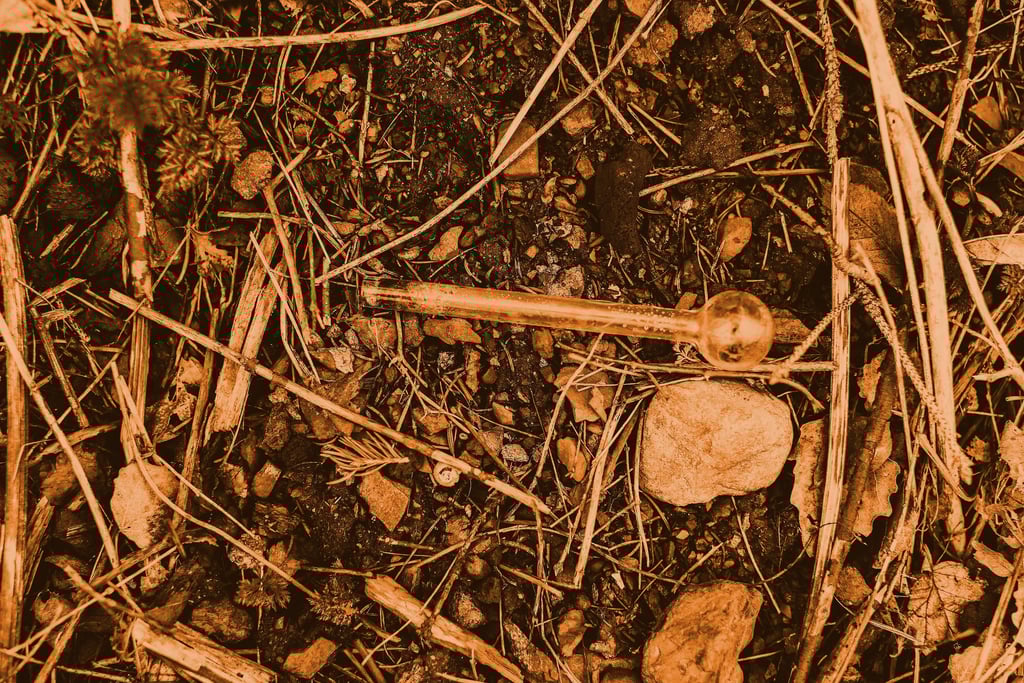 Image credit: Jonathan Cooper from Unsplash