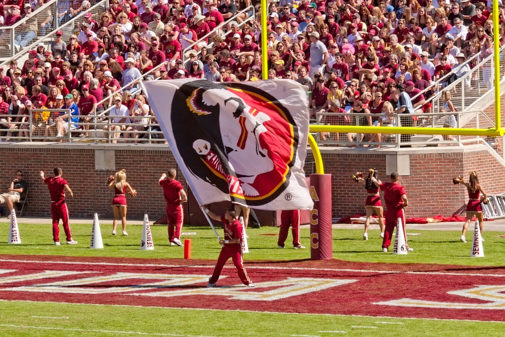 florida state university flag