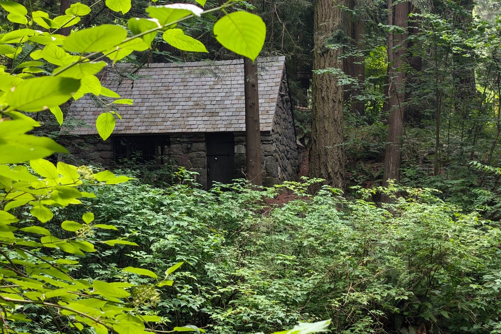 a stone cottage in a forest