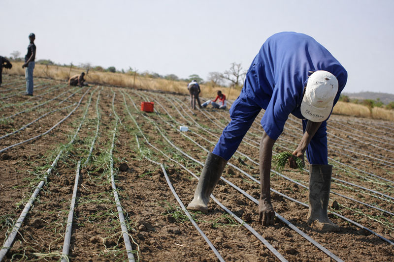 a man in a blue shirt is bending over a fence