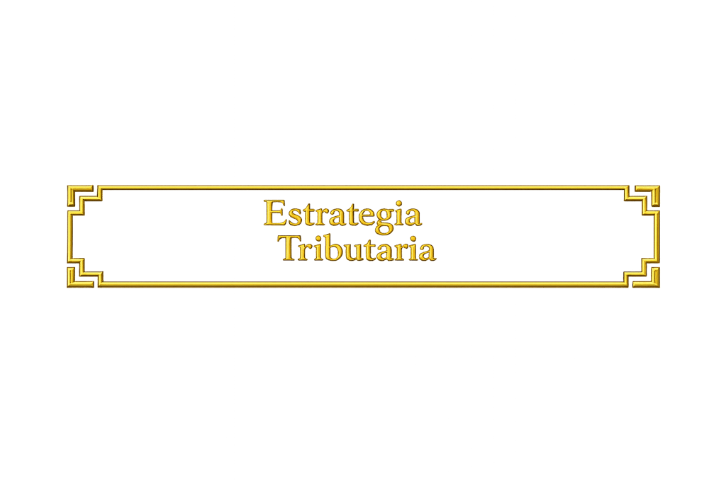 Desarrollamos estrategias patrimoniales y tributarias para anticipar contingencias futuras.