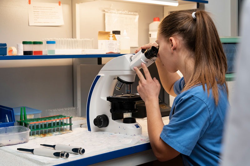Laboratorio Clínico