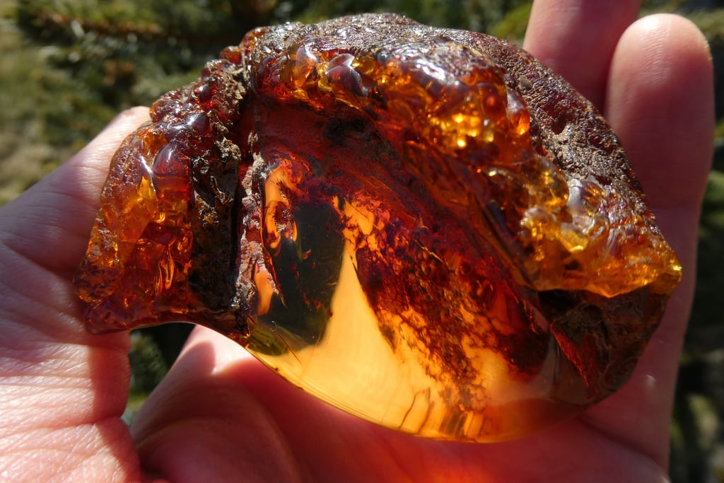 natural baltic amber