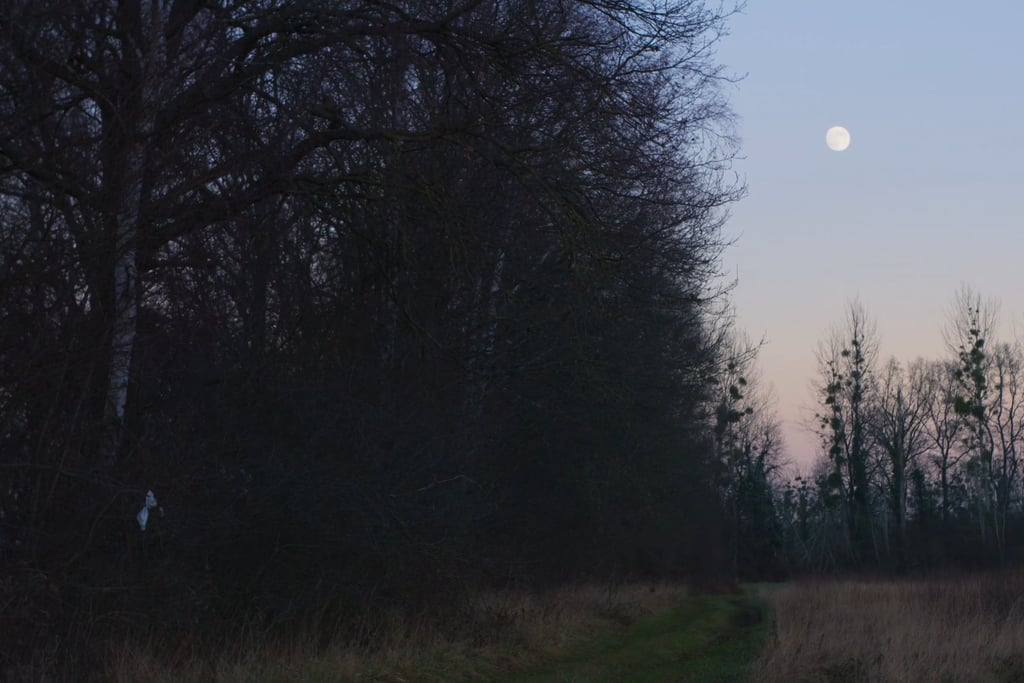 Les quatre saisons d'une haie, un film documenat