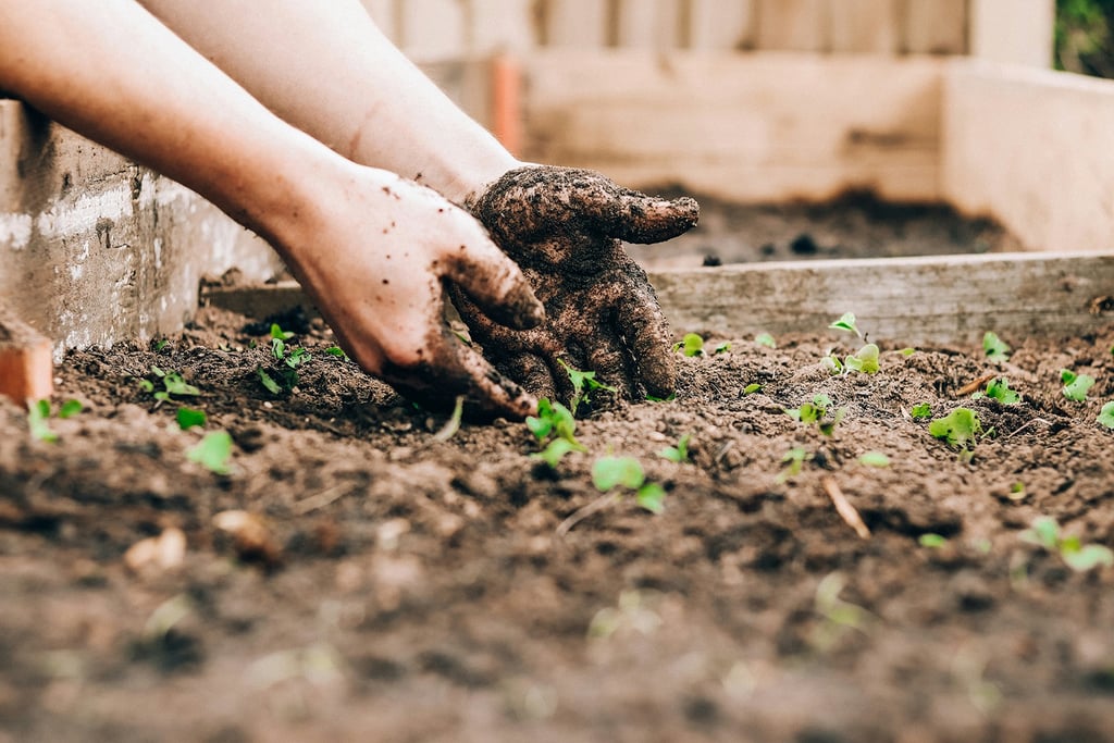 Agape gardening service