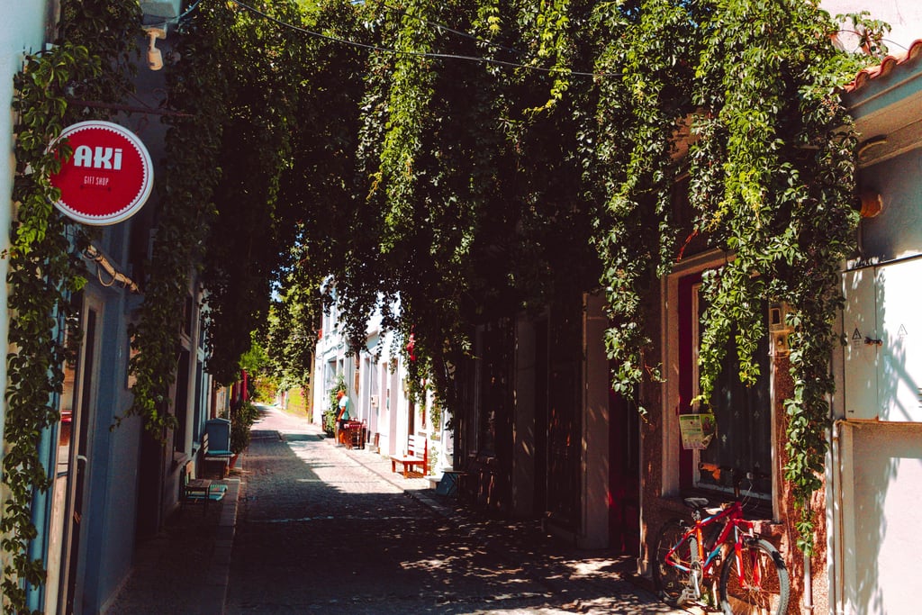 lesvos sigri holiday rentals yades apartments kitchen