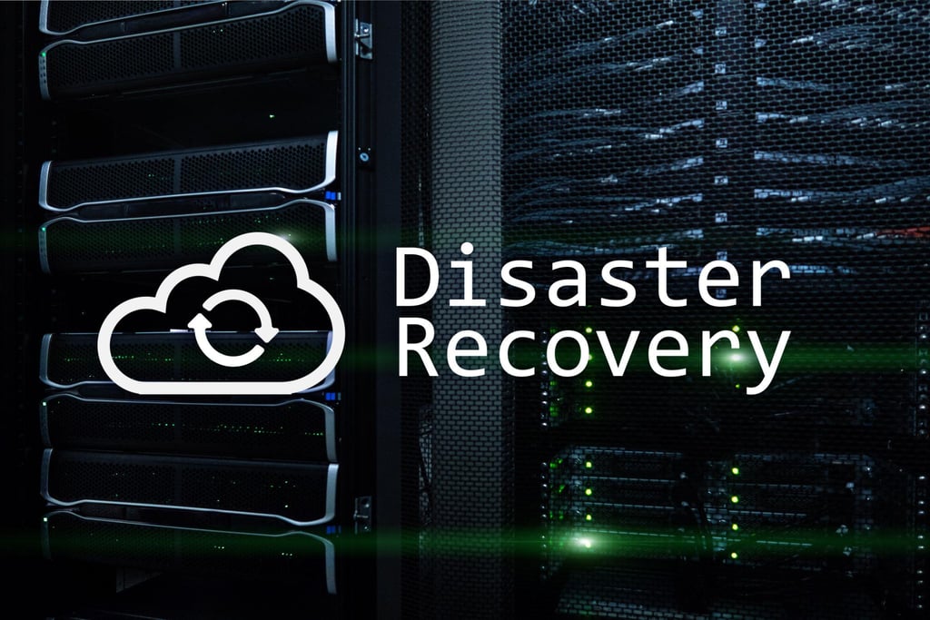 Disaster Recovery Planning (DRP)