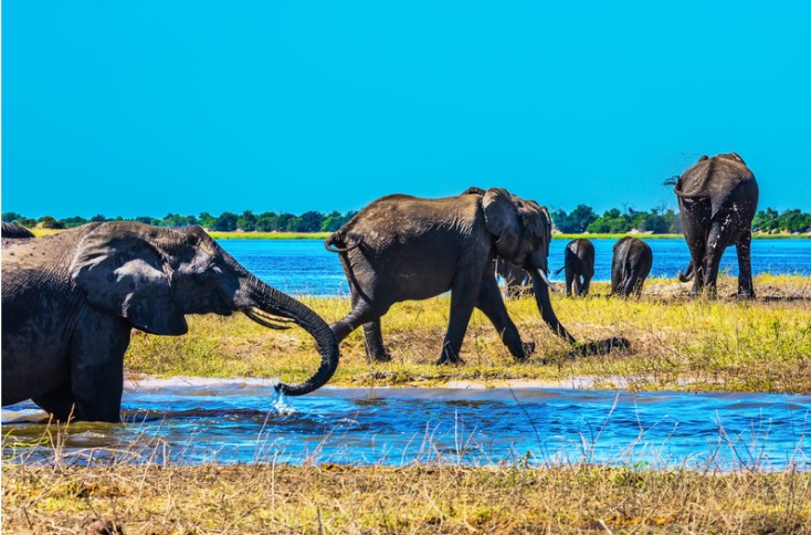 Okavango Delta, Botswana