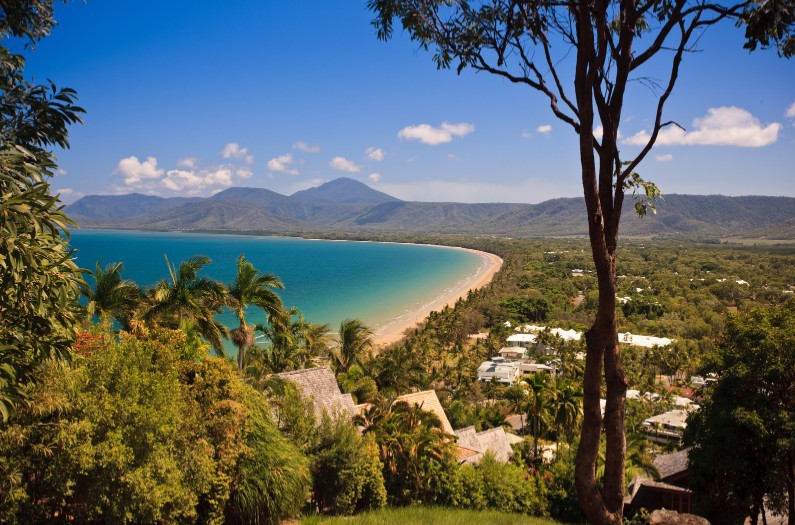 Daintree Rainforest, Queensland