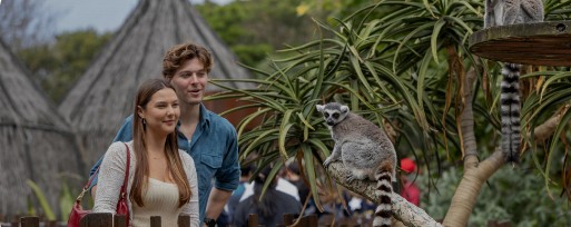 Melbourne Zoo