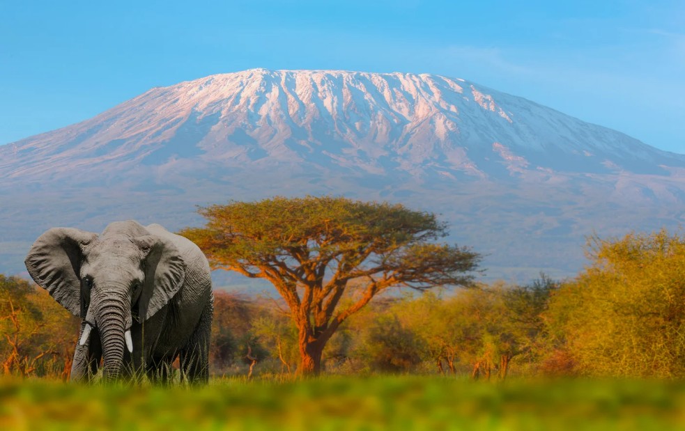 Mount Kilimanjaro, Tanzania