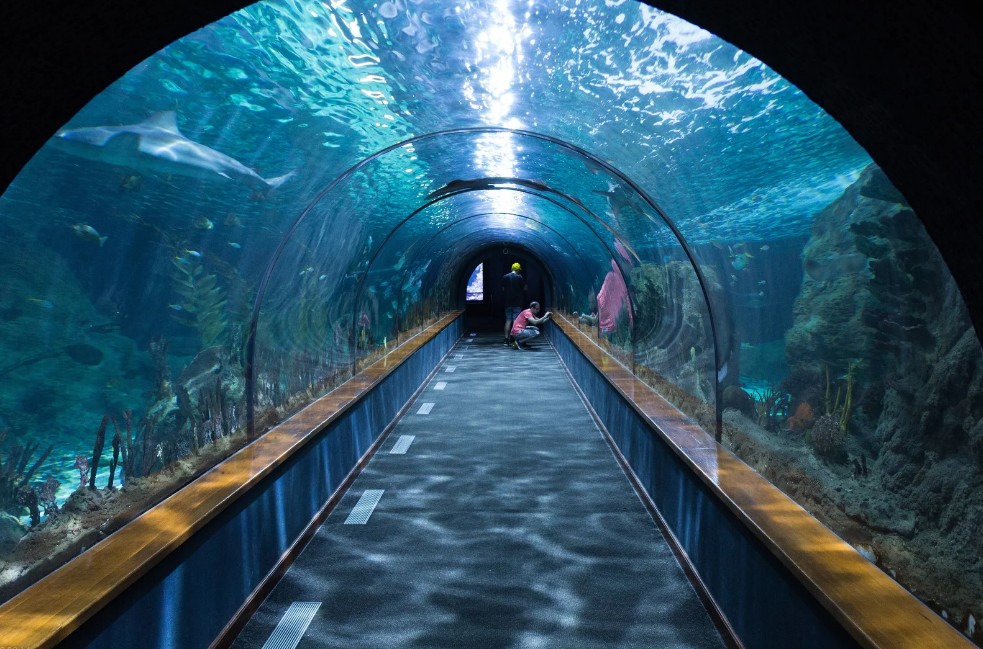 Ripley’s Aquarium of Canada