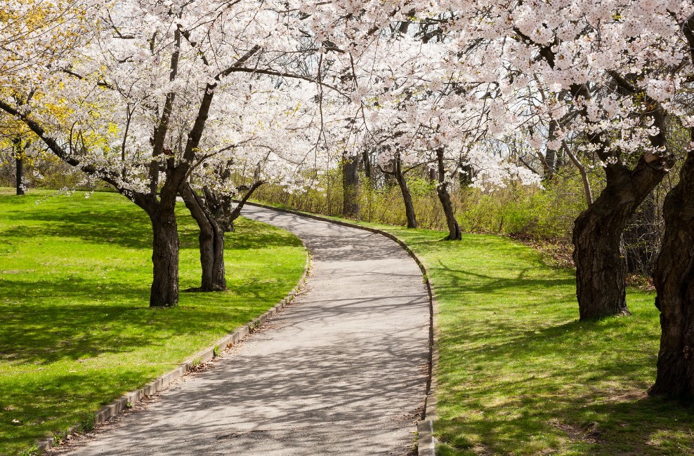 High Park, Toronto