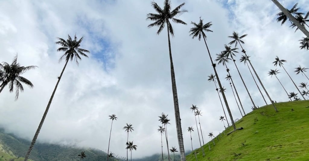 Salento & The Cocora Valley, Colombia