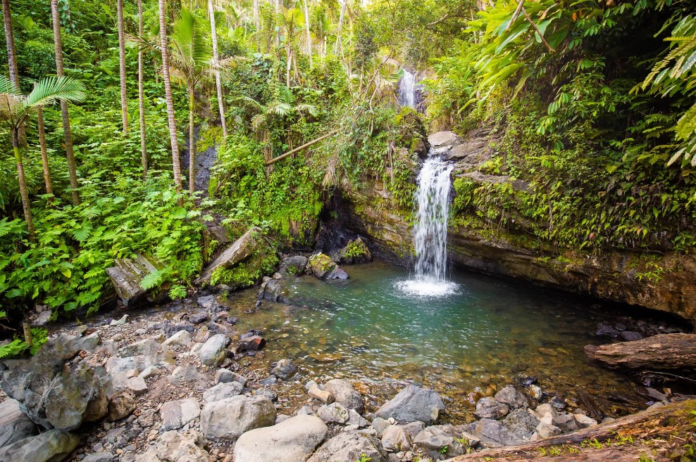 El Yunque National Forest, Puerto Rico