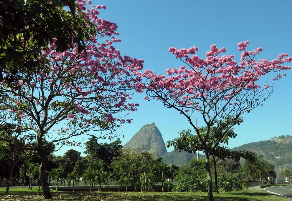 Sugarloaf Mountain (Pão de Açúcar), Rio de Janeiro