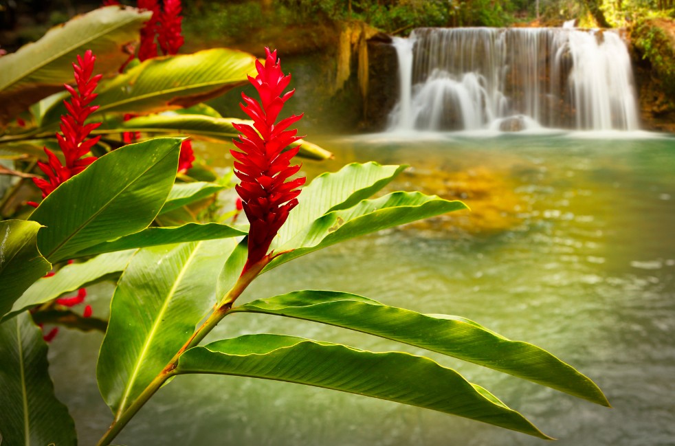 YS Falls (Saint Elizabeth)